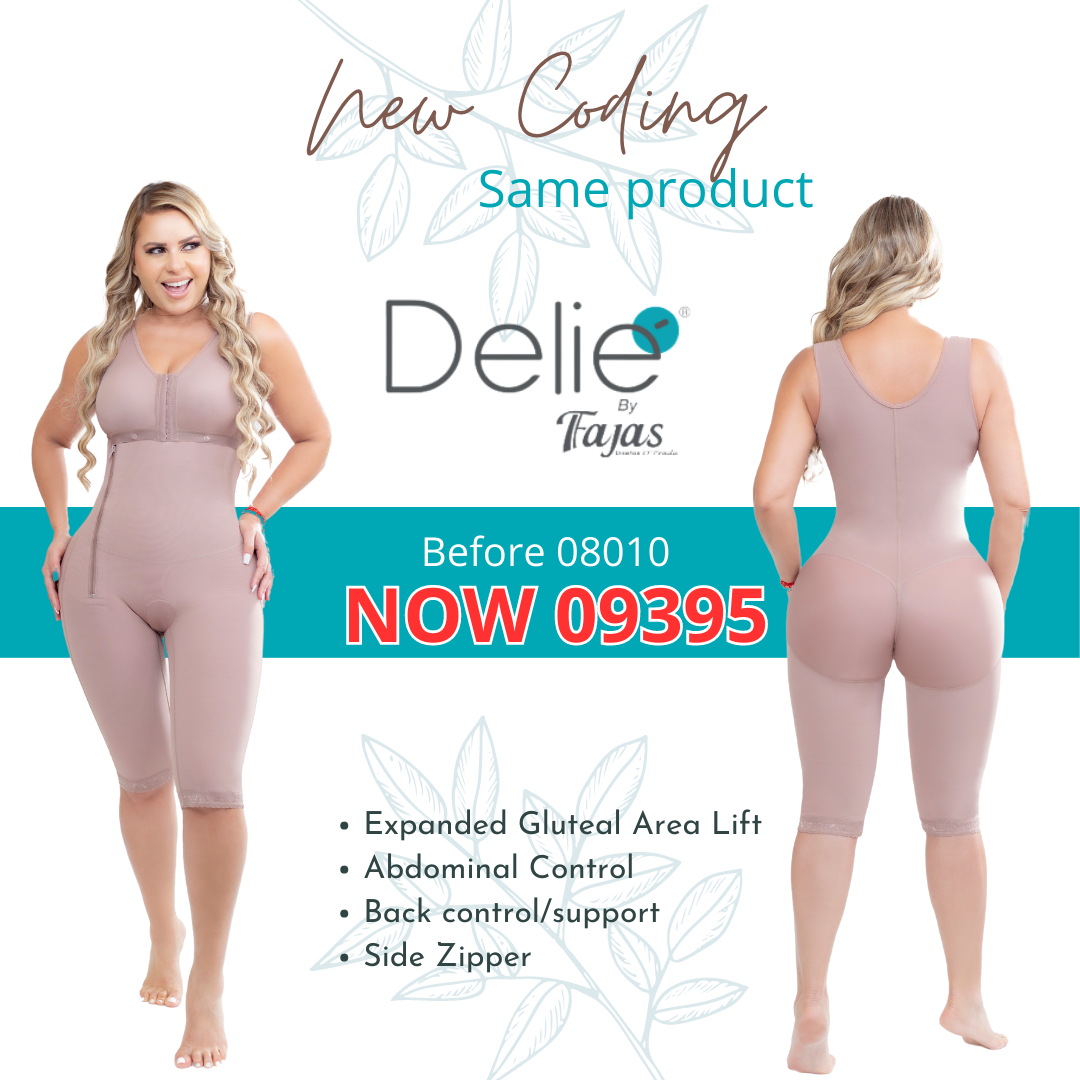 Delie Body Girdle-Breast Abdomen Zipper Knee Cocoa 09395
