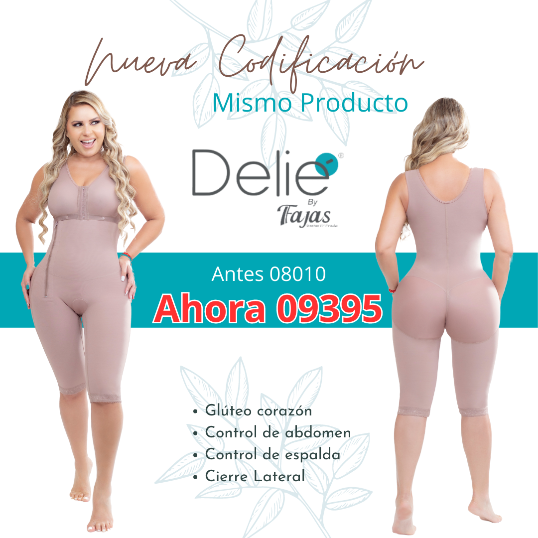 Delie Body Girdle-Breast Abdomen Zipper Knee Cocoa 09395